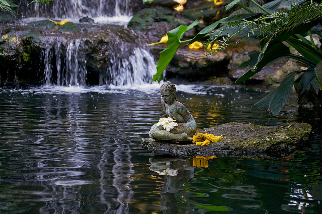 Pond Maid by gardencat