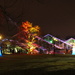 Kew Gardens Christmas lights by busylady