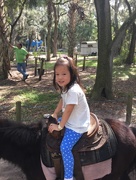 25th Oct 2015 - 1st time ponny ride