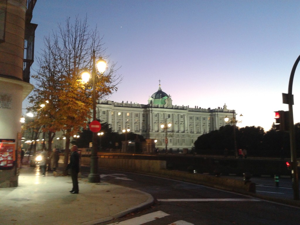 Royal Palace Madrid by chimfa