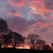 This mornings sky. by shirleybankfarm