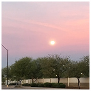 14th Dec 2016 - Arizona Urban Morning