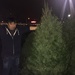 O Christmas Tree! by labpotter