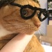 Hipster cat by labpotter