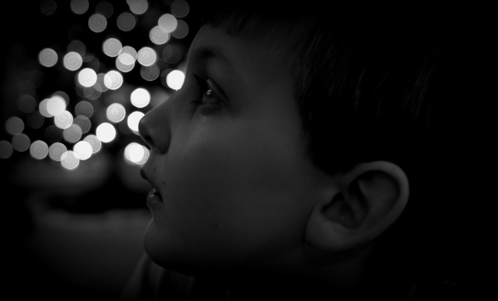 Day 105:  Max and Bokeh by sheilalorson