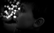 14th Dec 2016 - Day 105:  Max and Bokeh