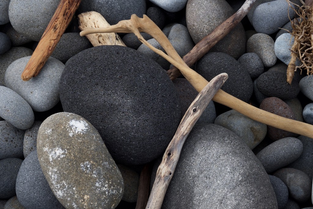 Rocks and driftwood by dkbarnett