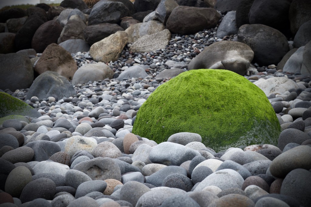 Green rock by dkbarnett