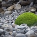 Green rock by dkbarnett