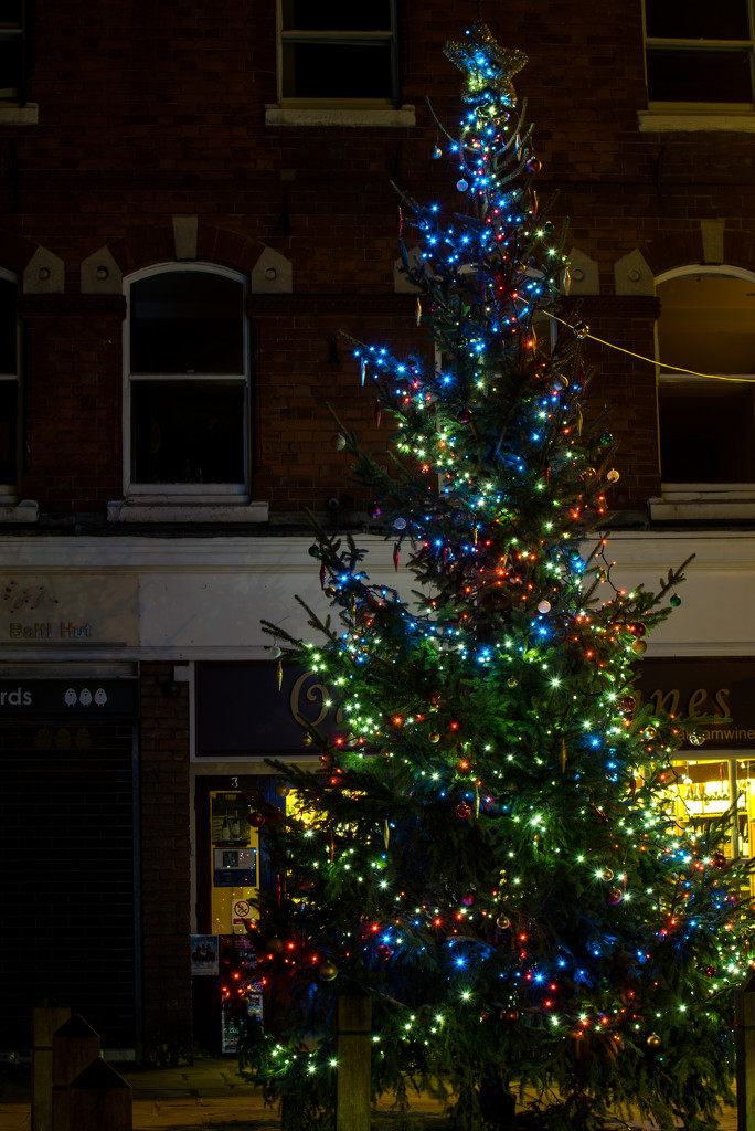 Oakham's Christmas Tree  by rjb71