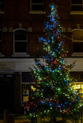 15th Dec 2016 - Oakham's Christmas Tree 