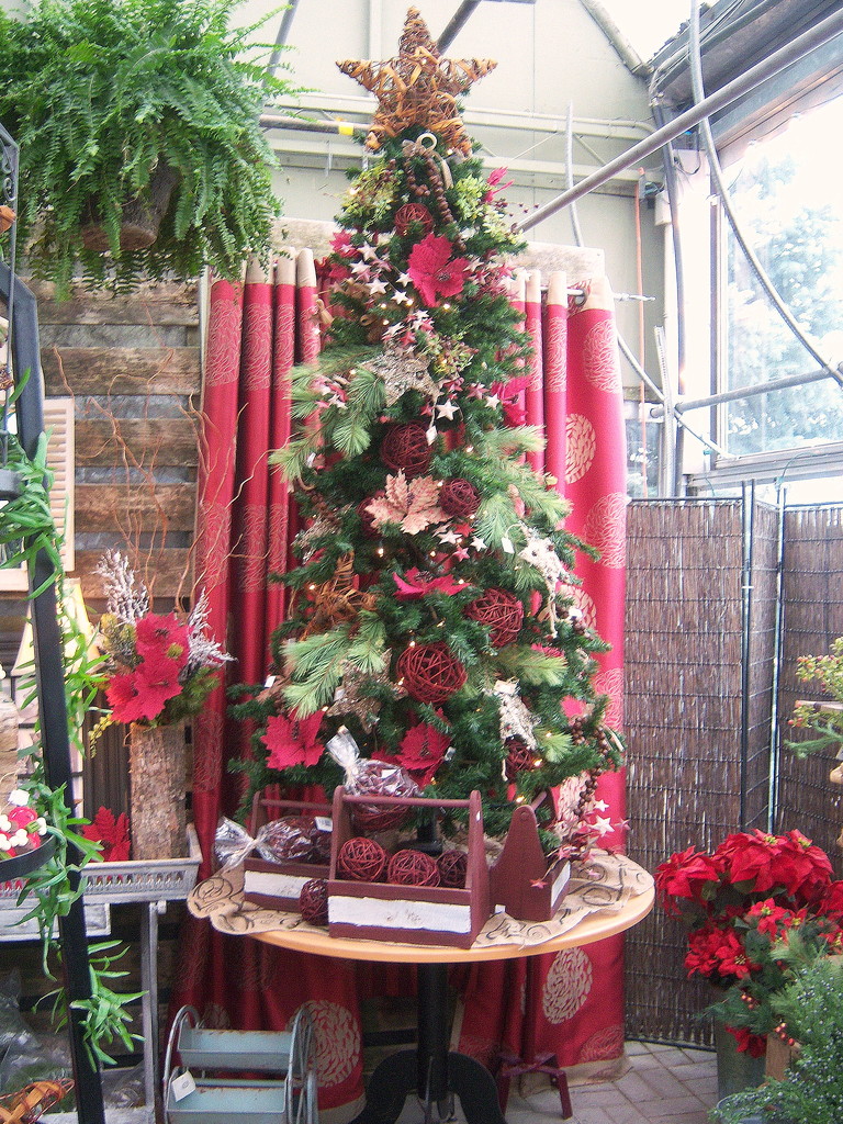Christmas decoration at the nursery by bruni