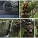 The waterfall and carving by dide