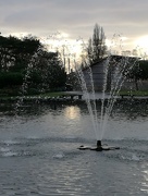 11th Dec 2016 - People's Park Water Feature