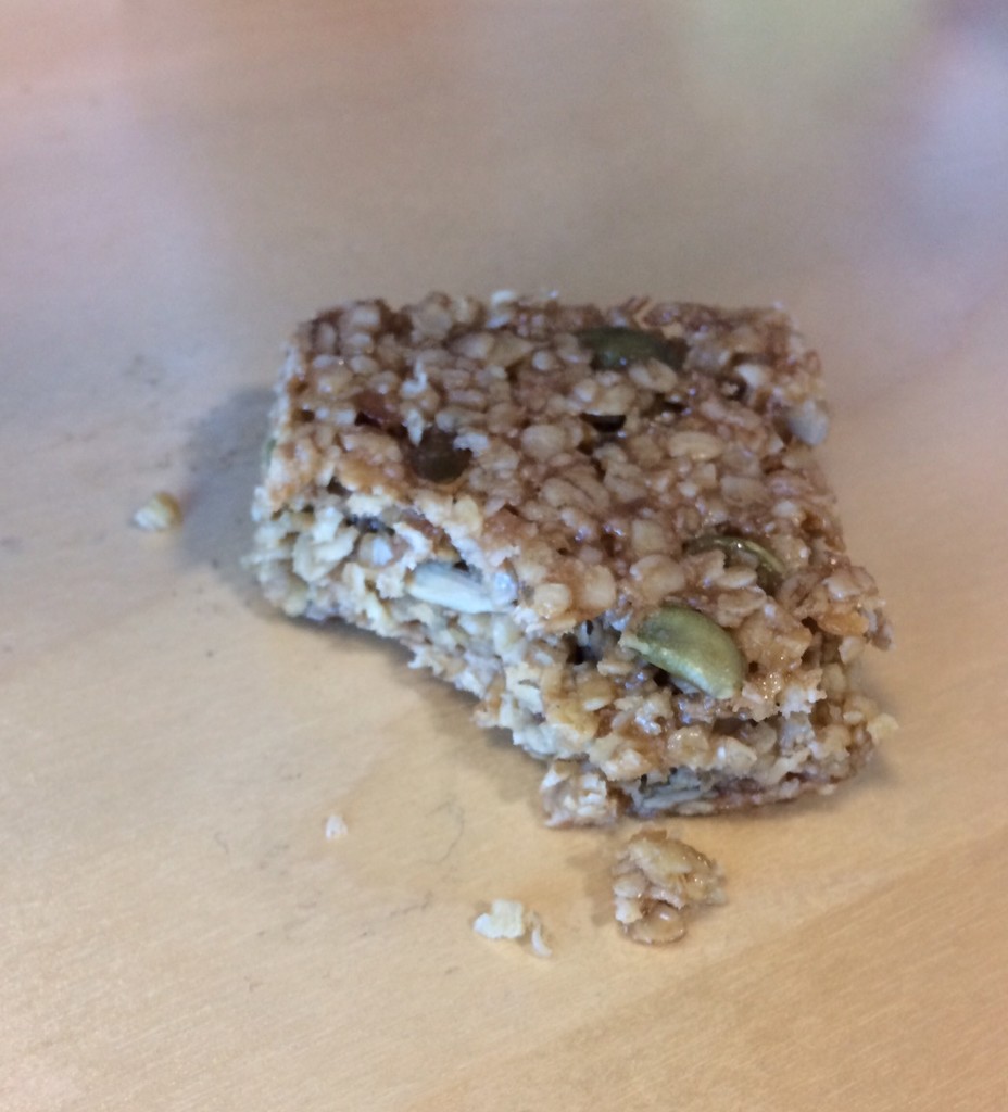 Seeded Flapjack  by elainepenney