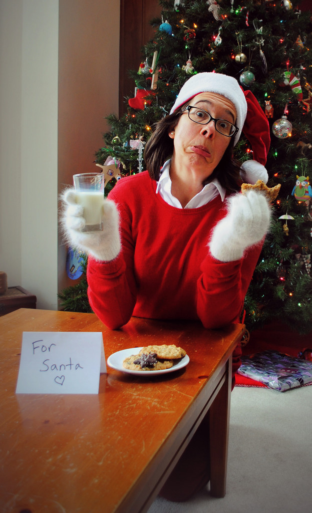 Busted Again, Elf Stealing Santa's Cookies by alophoto