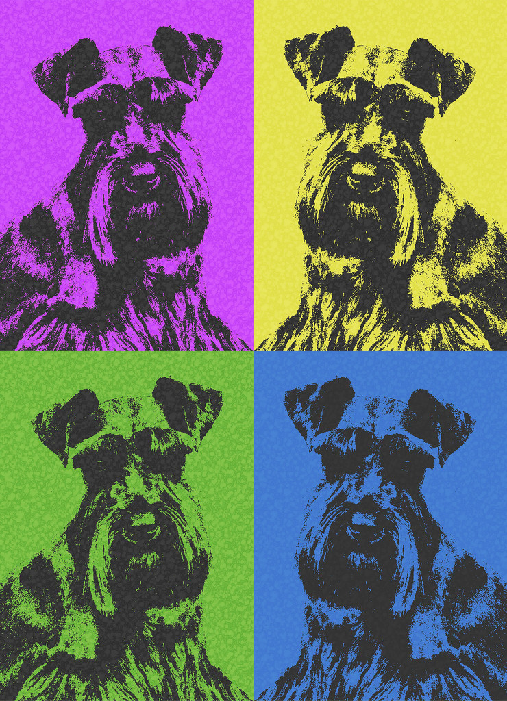 Pop Art Dog by salza