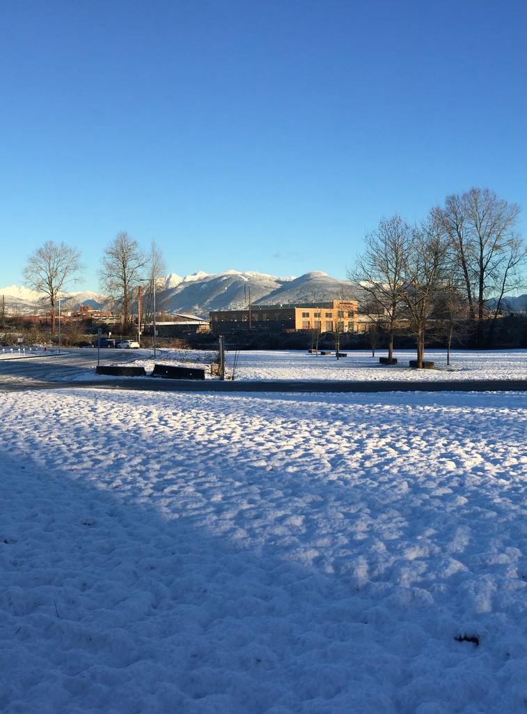 Winter sun and snow  by bilbaroo