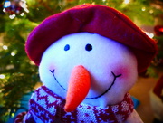 17th Dec 2016 - Smiley Snowman
