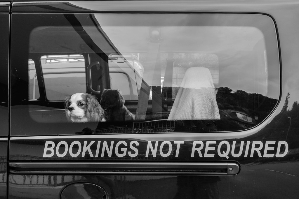 Bookings not required by overalvandaan