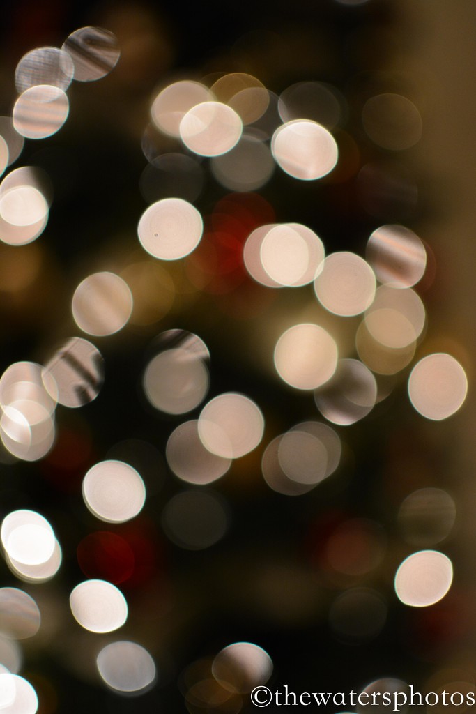Christmas bokeh by thewatersphotos