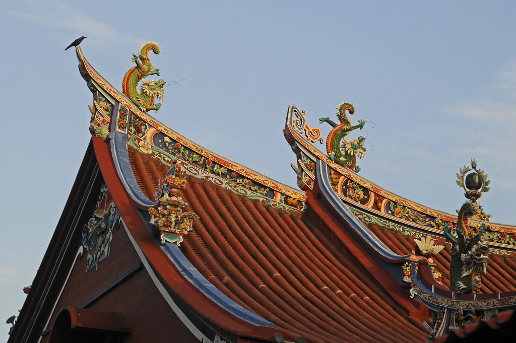 Temple roof dragons by ianjb21