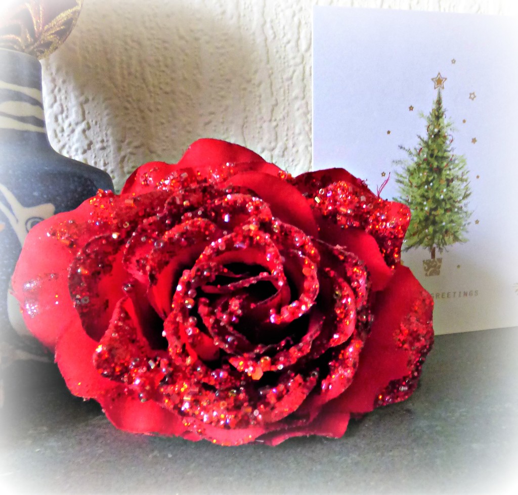 Large glittering  Christmas Rose !  by beryl