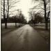 Road into the park.... by frequentframes