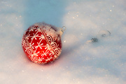 17th Dec 2016 - Snow ball