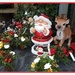 Jolly Santa and reindeer. by grace55