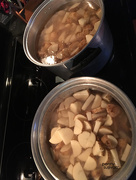24th Nov 2016 - 1124_1410 10lbs of spuds for turkey day