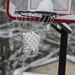 1212_1210 Nothing but net by pennyrae
