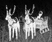 18th Dec 2016 - sleigh