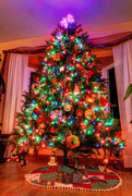 4th Dec 2016 - O Christmas Tree