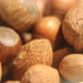 The Nut Bowl by cookingkaren