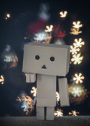 18th Dec 2016 - Danbo's Holiday Greetings