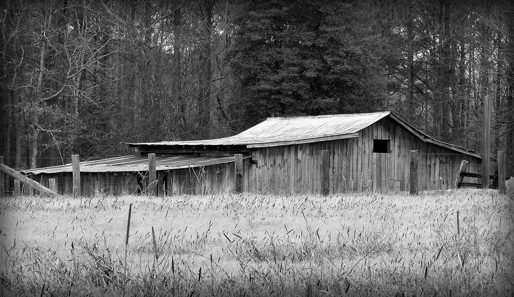 Old barn by homeschoolmom