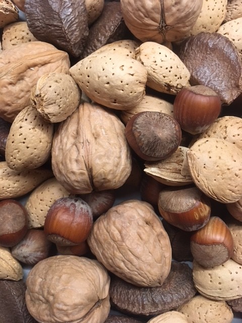 Ah Nuts by handmade