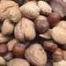 Ah Nuts by handmade