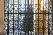 19th Dec 2016 - Elysée Christmas Tree