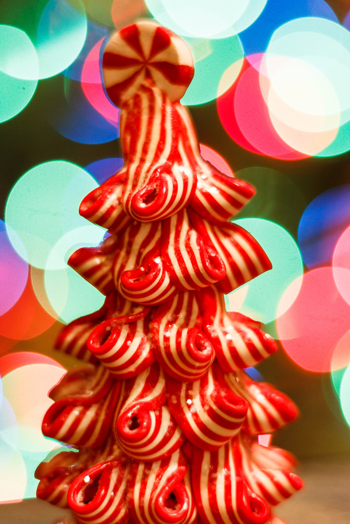 Peppermint Tree by swchappell