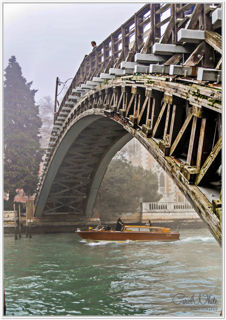 Accademia Bridge, The Grand Canal, Venice by carolmw