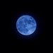 Blue Moon ( Filler ) by tonygig