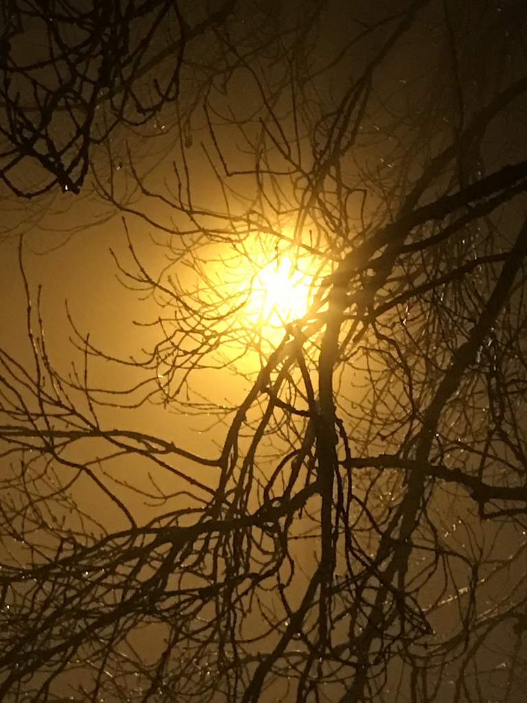 Street Lamp in Fog by phil_sandford