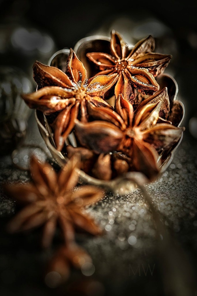 2016-12-19 star anise by mona65