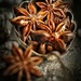 2016-12-19 star anise by mona65