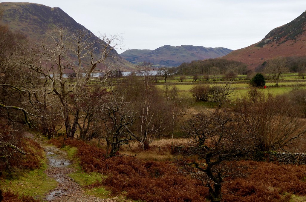 View of Crummock Water from Buttermere by susiemc