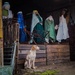 Nativity hound by barrowlane