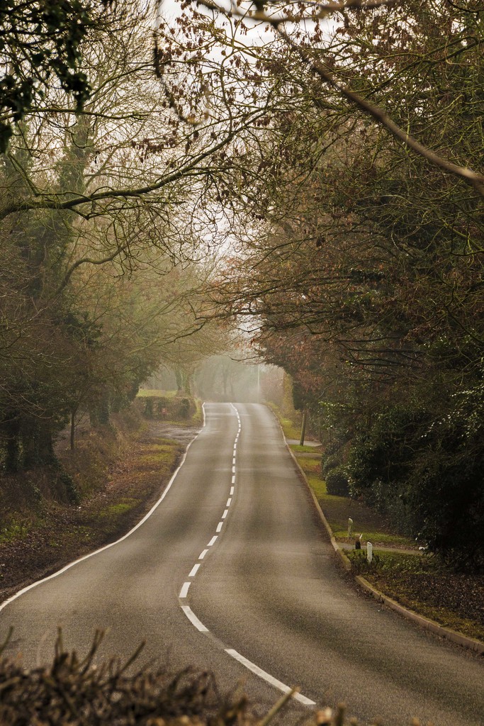 Croft Hill Road by shepherdman