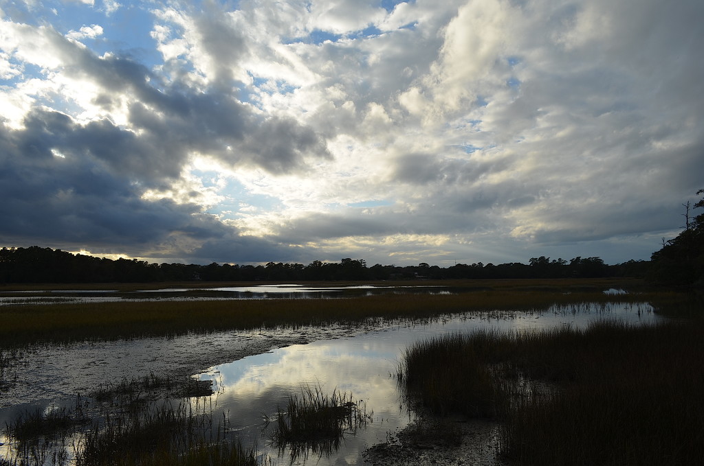 Clouds, sky and marsh on a winter afternoon by congaree